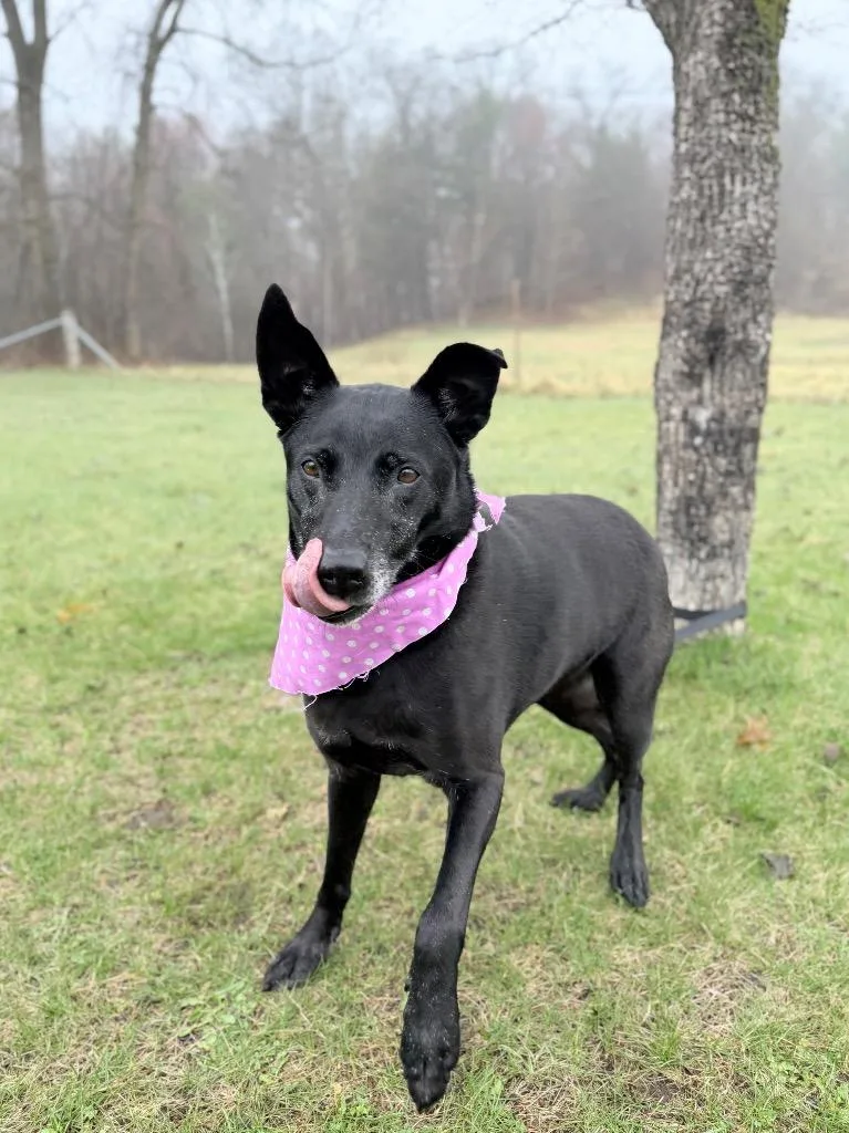 Mary Ann thumbnail 4