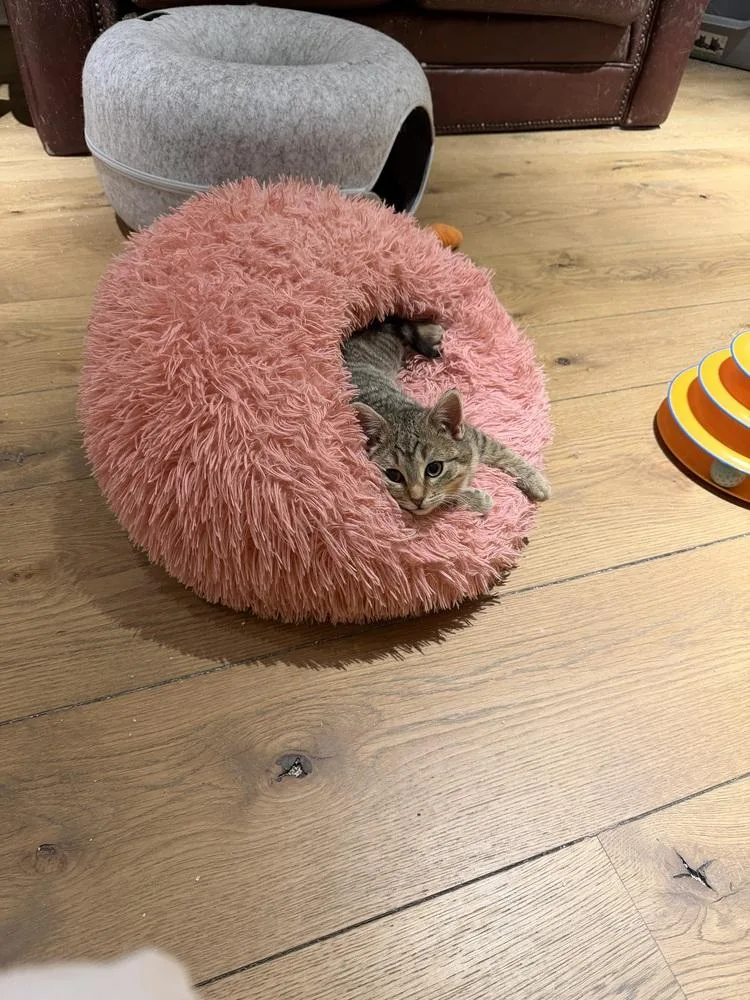 Schitt's Creek:  Alexis thumbnail 5