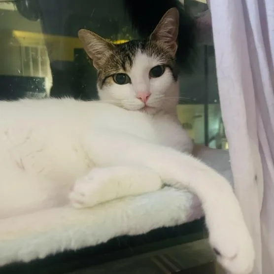 Ellie Alleya thumbnail 5