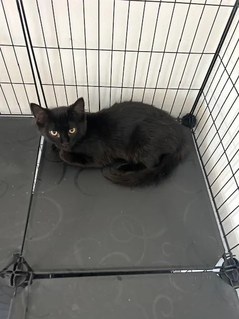 Michelle thumbnail 2