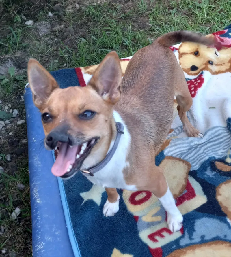 Shybaby In Kentucky thumbnail 4