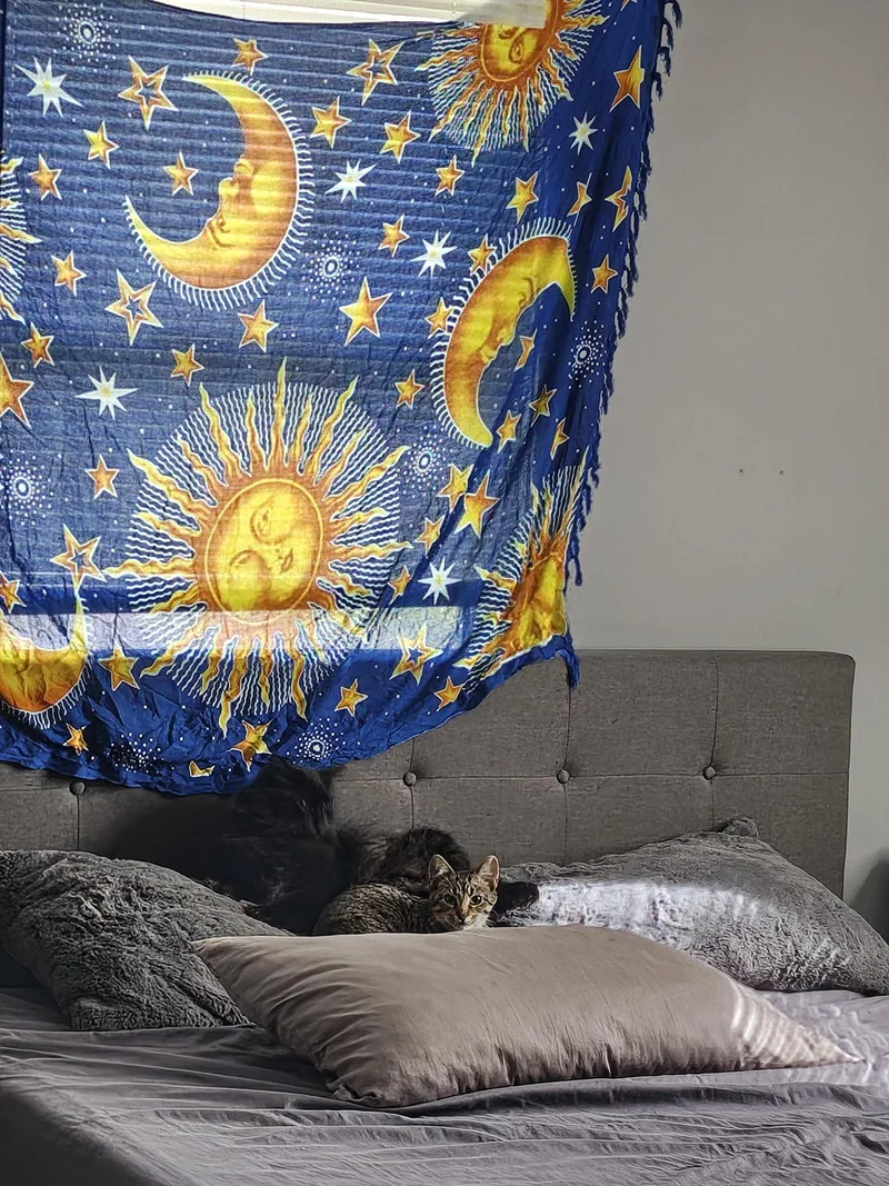 Cleo thumbnail 3