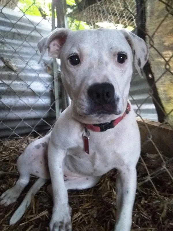 Sammy Cross Post thumbnail 2