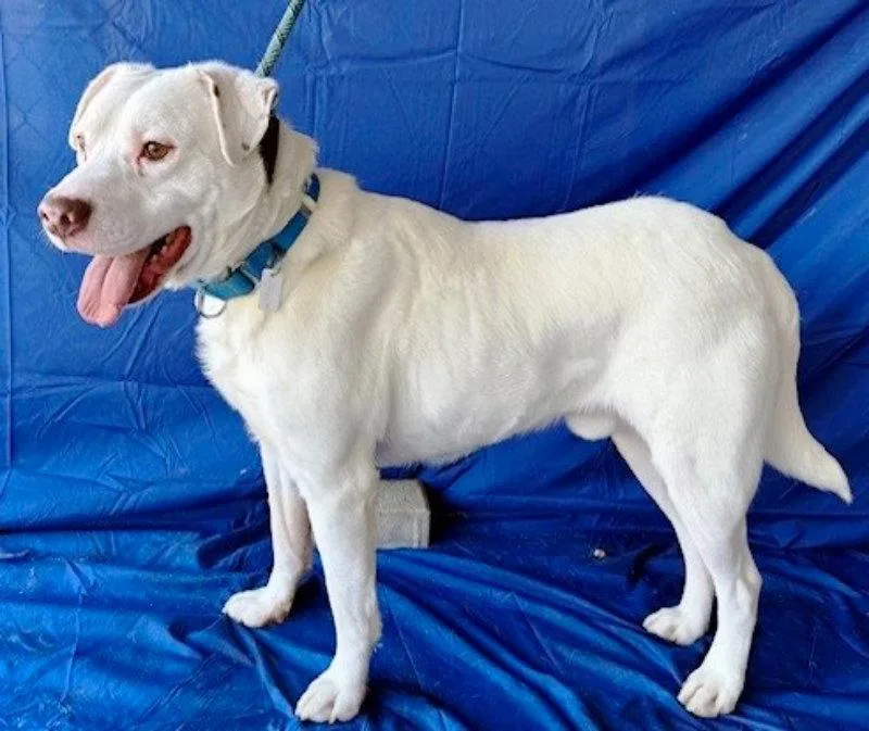 Sammy Cross Post thumbnail 3