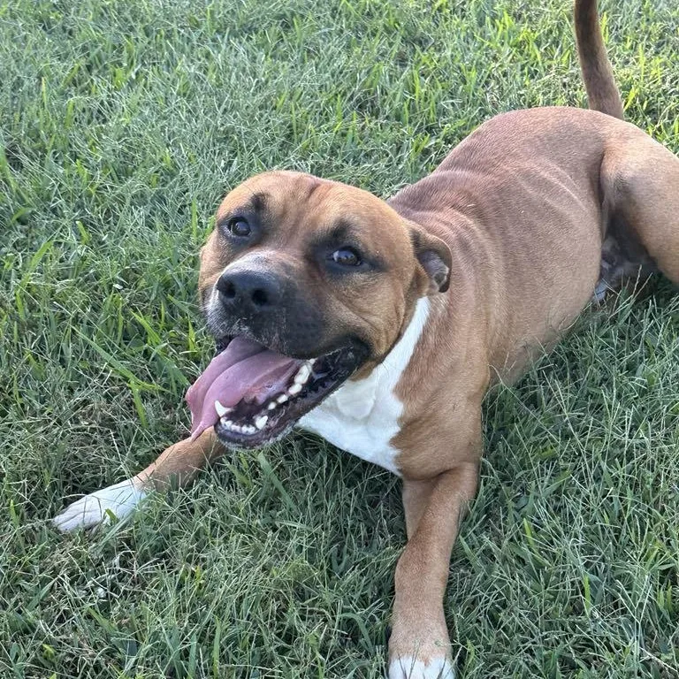 John Boy thumbnail 2