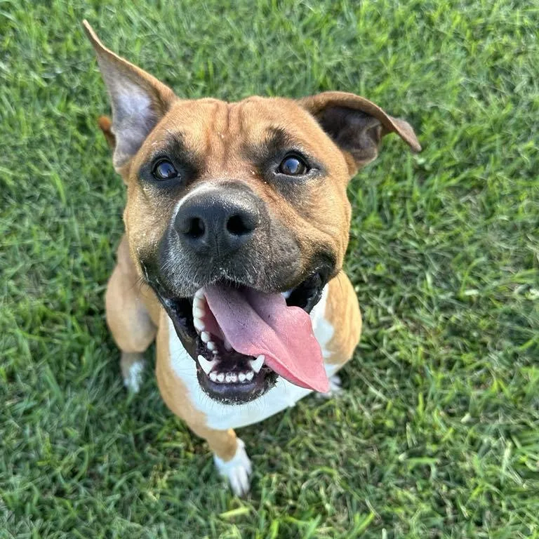 John Boy thumbnail 3