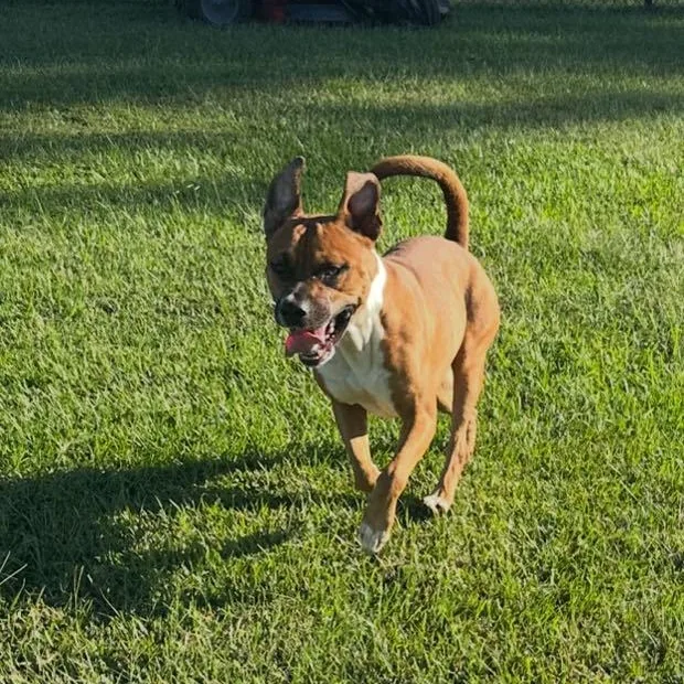 John Boy thumbnail 4