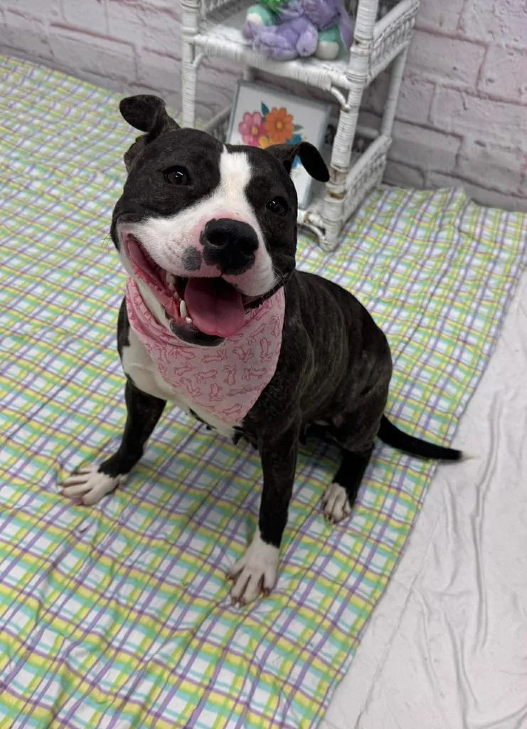 Margaery thumbnail 4