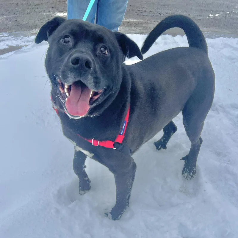 Kolbygoofy  Funloving Boy thumbnail 3