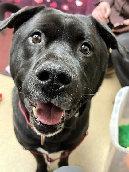 Kolbygoofy  Funloving Boy thumbnail 5