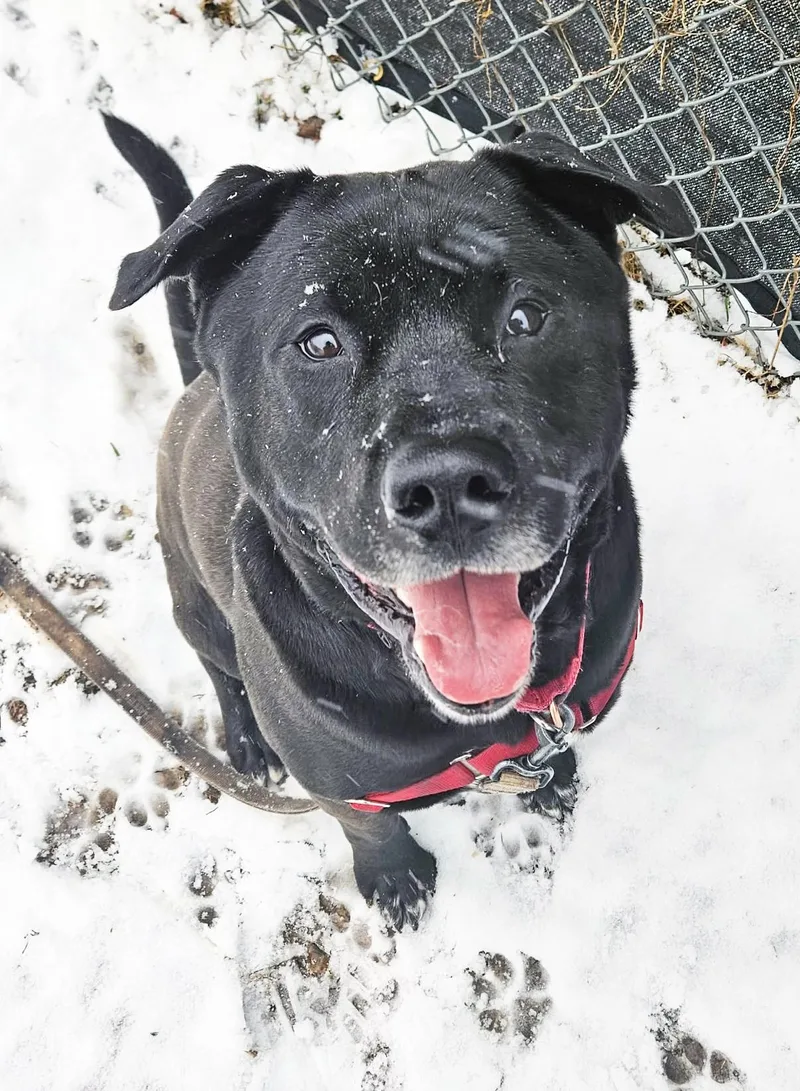 Kolbygoofy  Funloving Boy