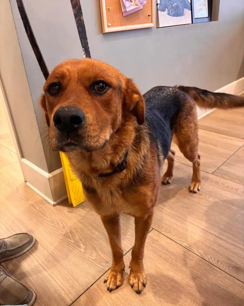 Roxy Rae thumbnail 2