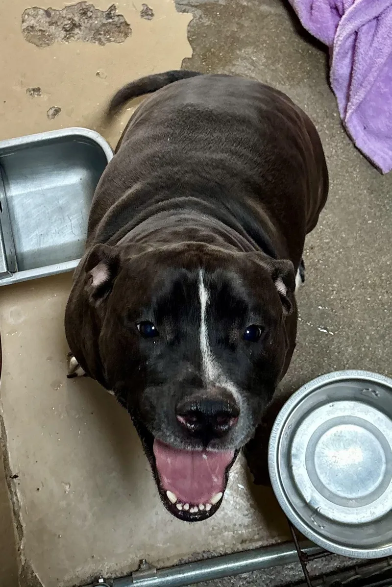 Midnight thumbnail 3