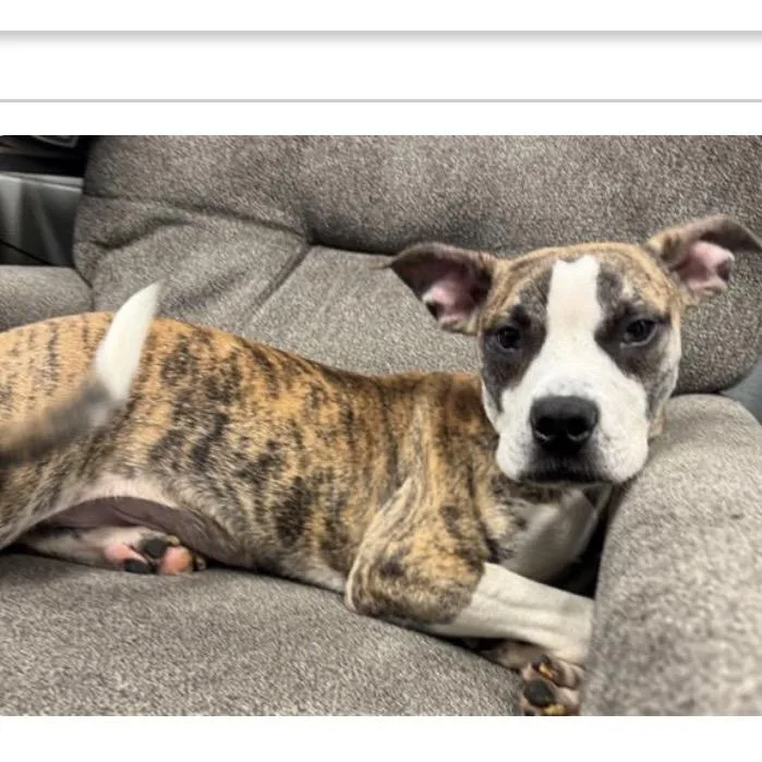 Universe thumbnail 2