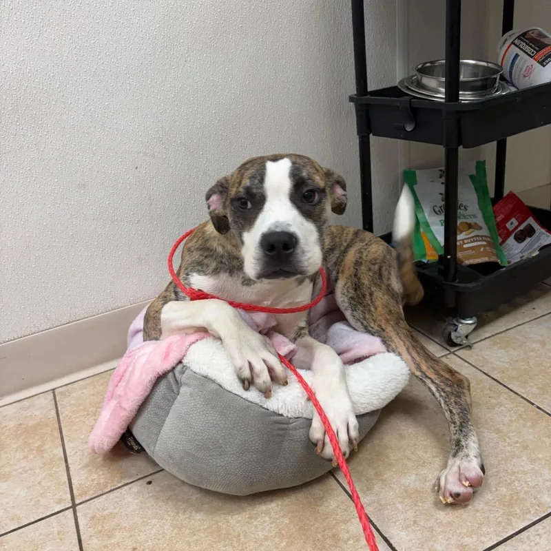 Universe thumbnail 3