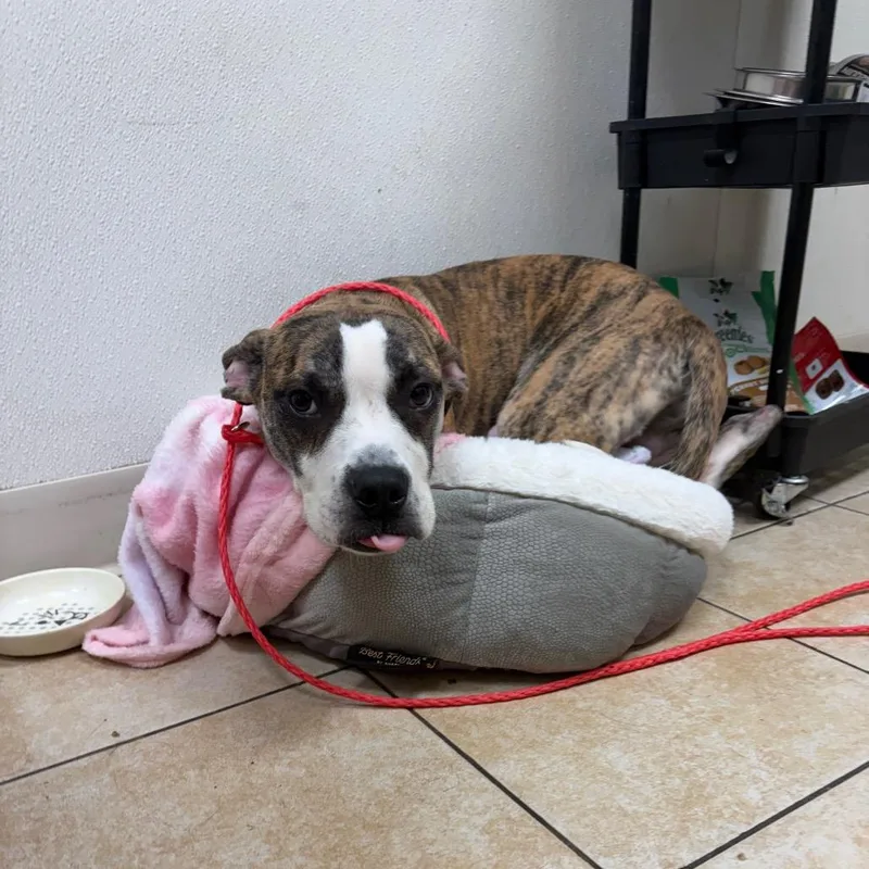 Universe thumbnail 4