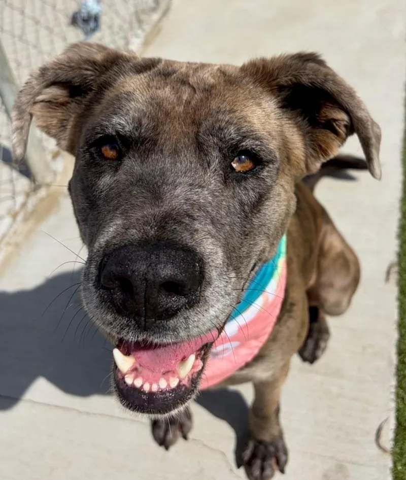 Scrunchie thumbnail 3