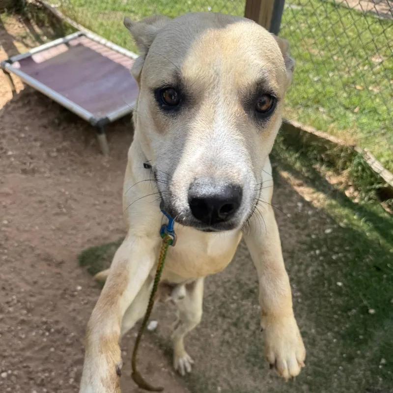 Michael J Fox thumbnail 2