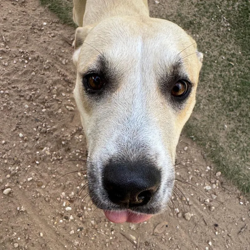 Michael J Fox thumbnail 3