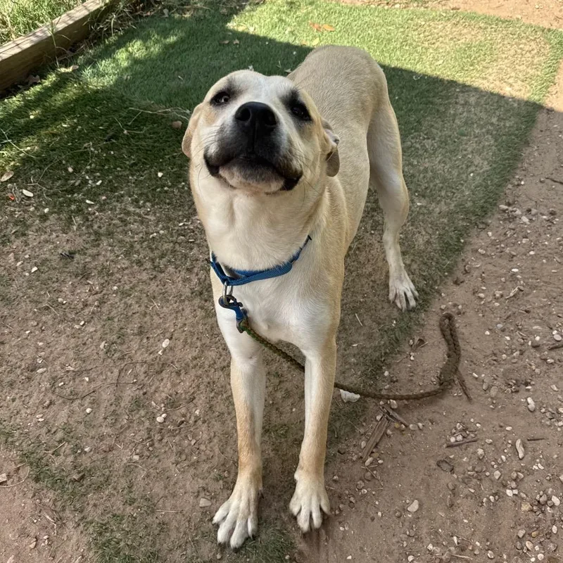 Michael J Fox thumbnail 4