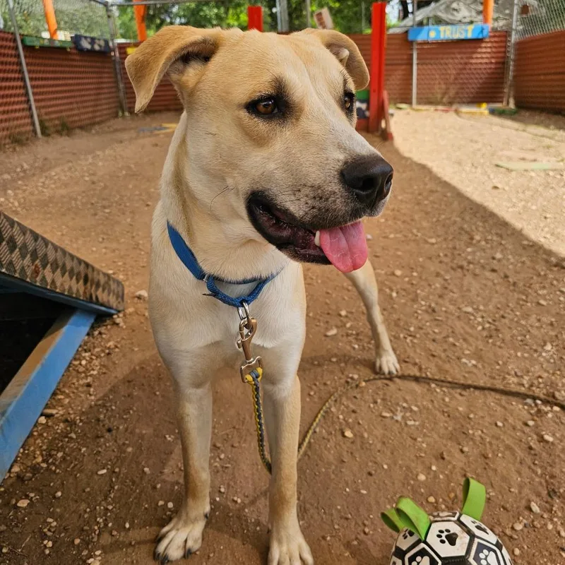 Michael J Fox thumbnail 5