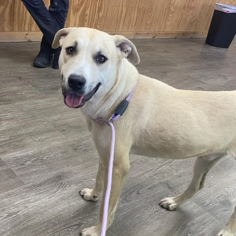 Michael J Fox thumbnail 6