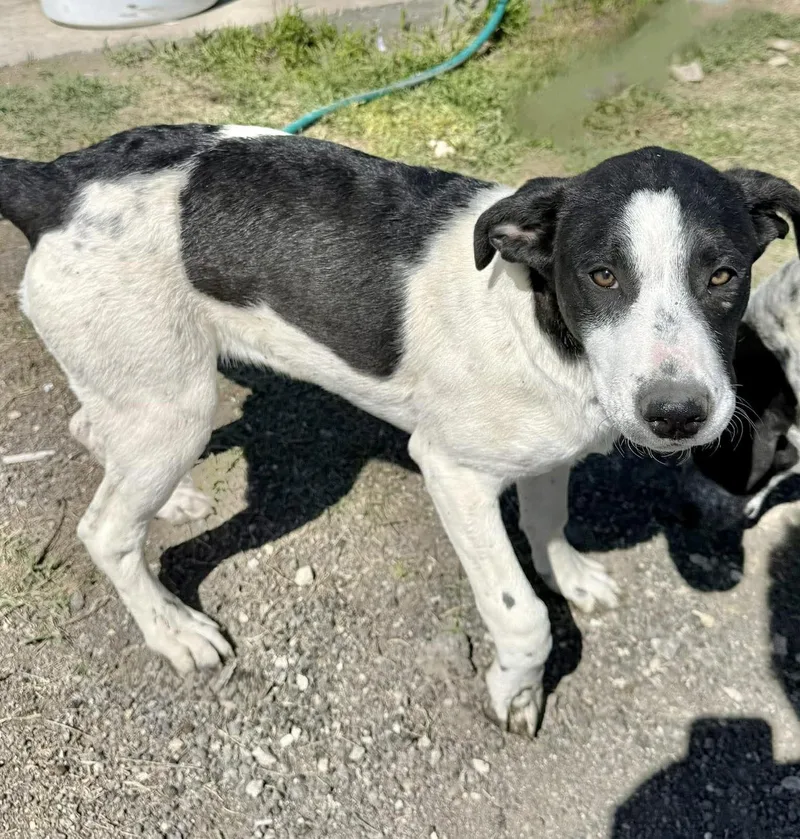 Tinkerbell thumbnail 2