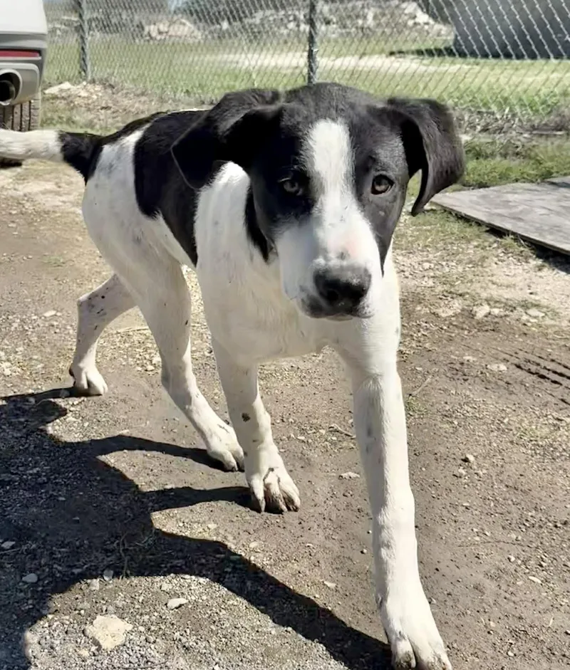 Tinkerbell thumbnail 4