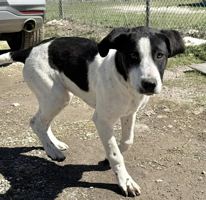 Tinkerbell thumbnail 5