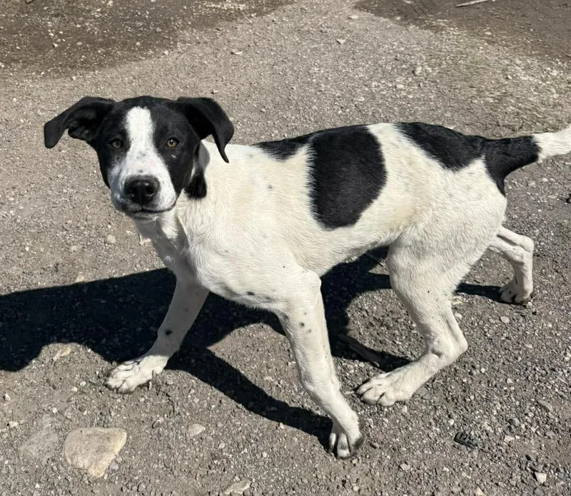 Tinkerbell thumbnail 6