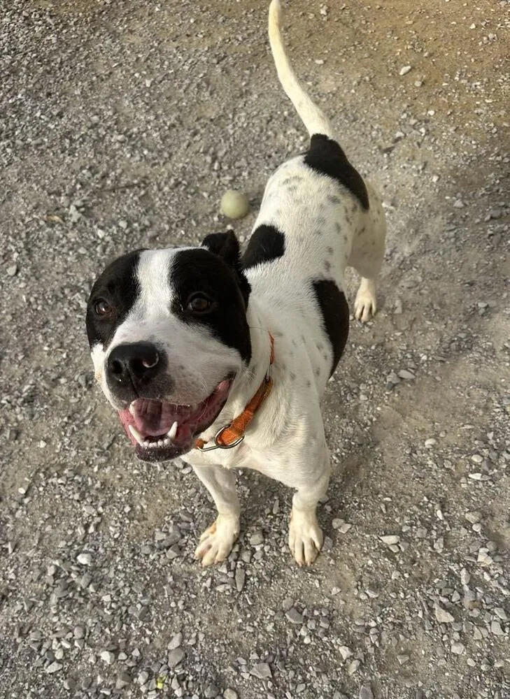 Buddy Zander thumbnail 2