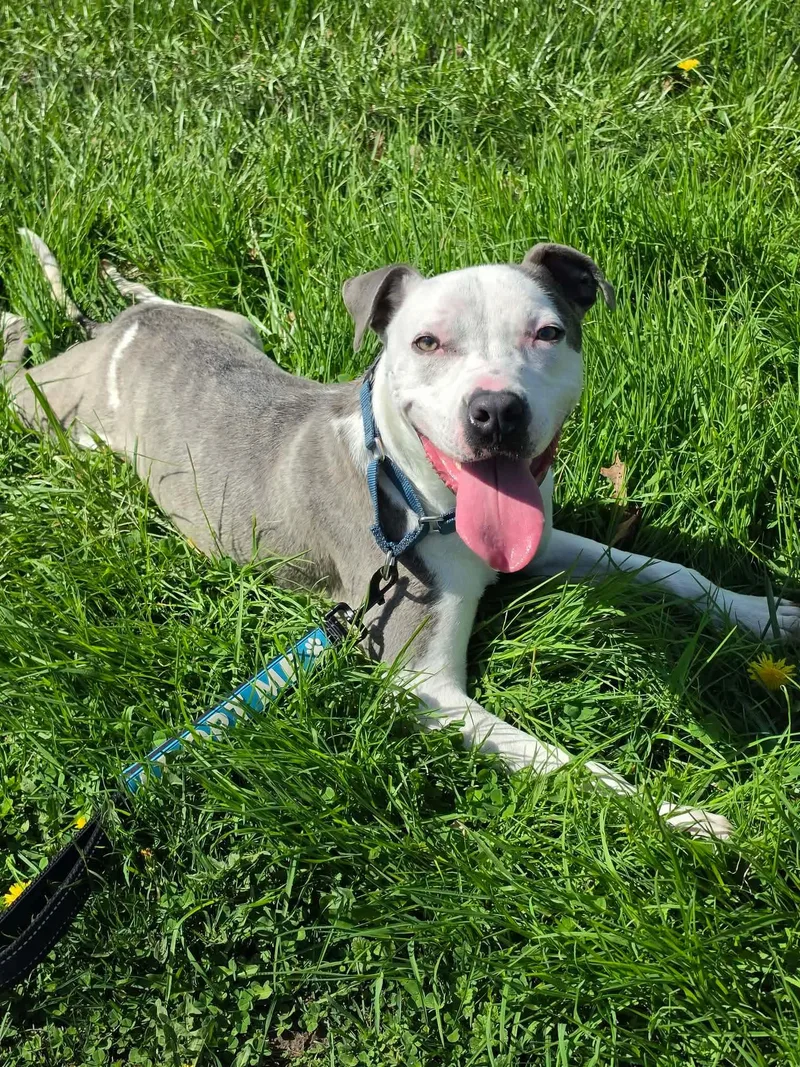 Robinson thumbnail 2