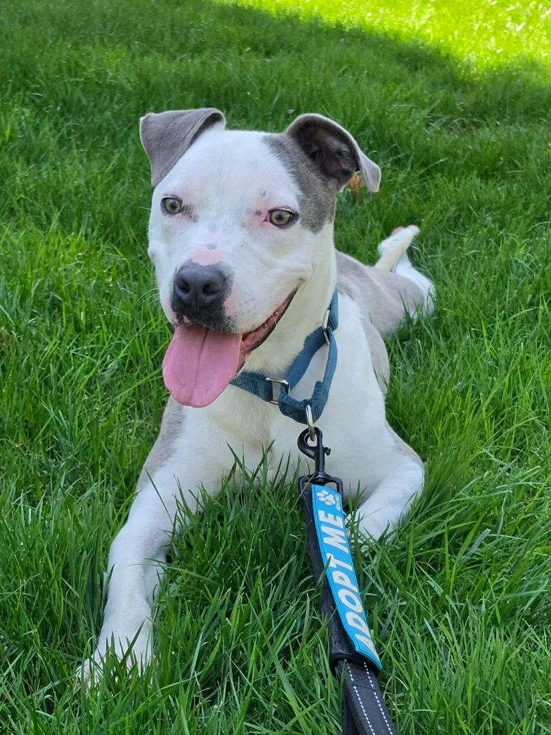 Robinson thumbnail 4