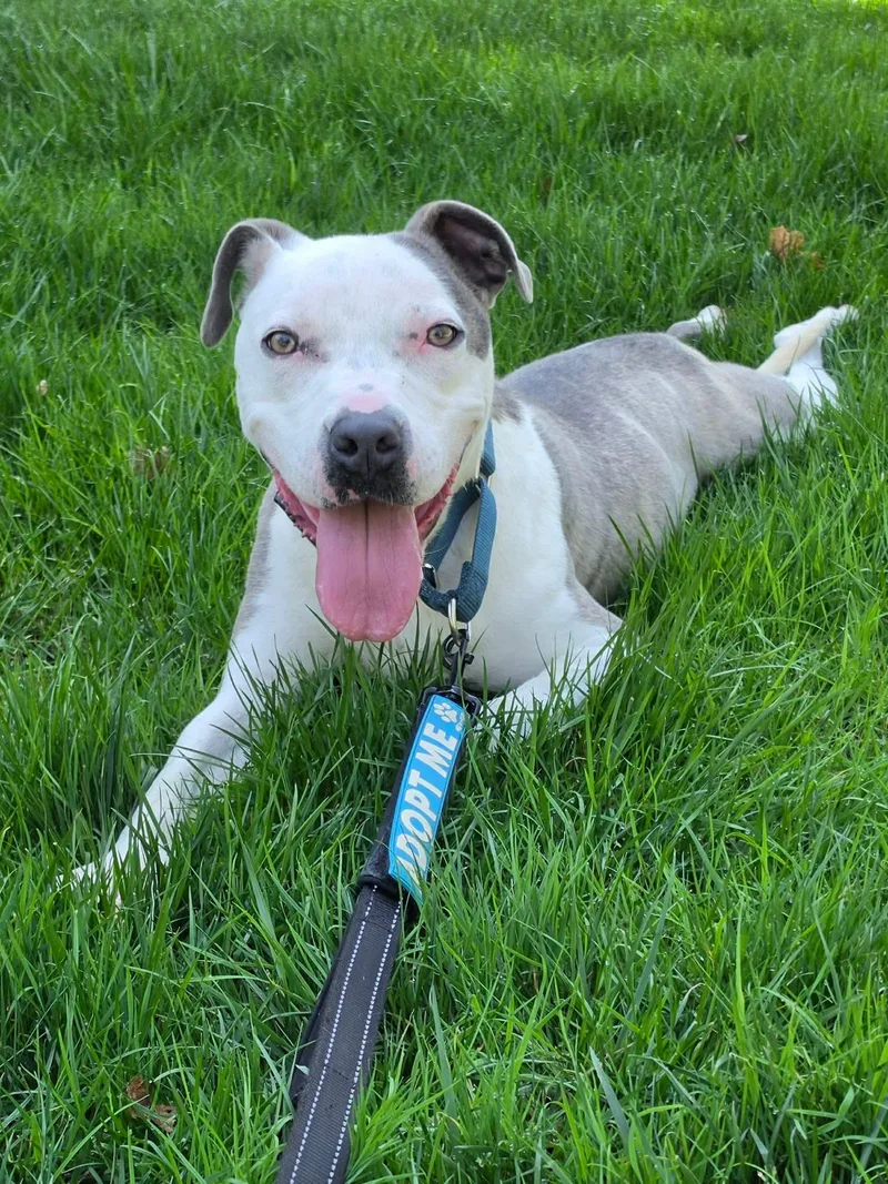 Robinson thumbnail 5