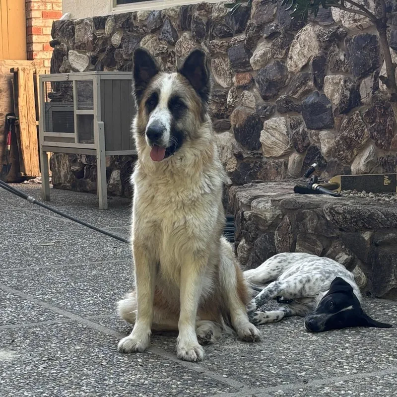 Tex