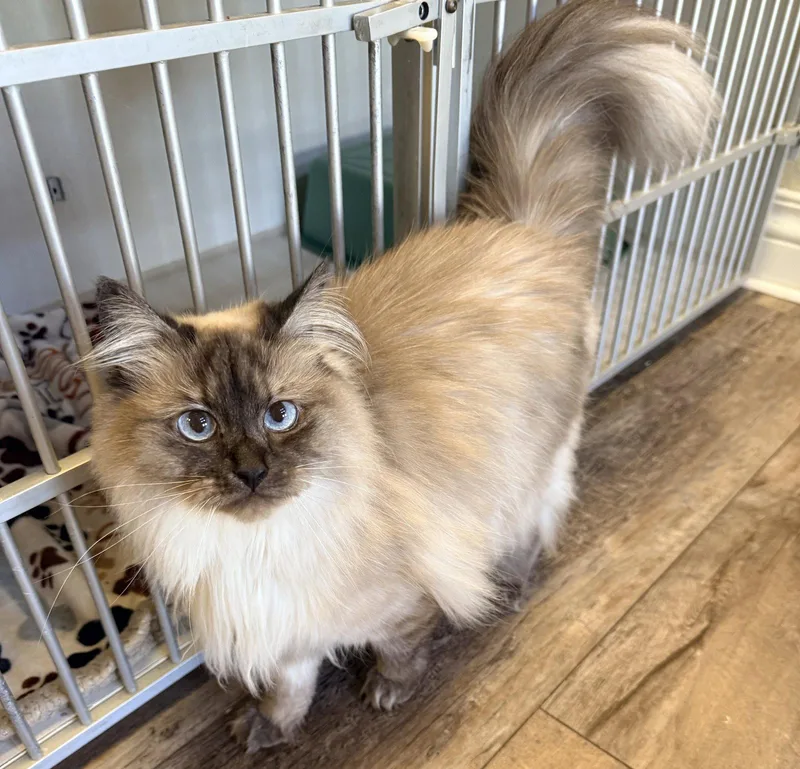 Nina .. & Luna thumbnail 2