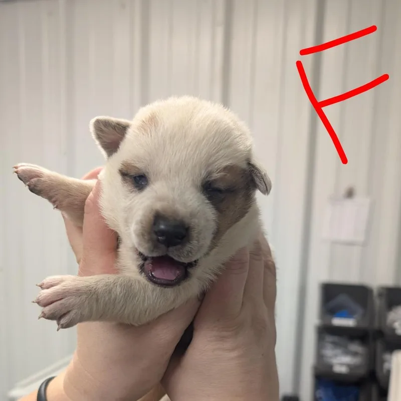 New York thumbnail 2