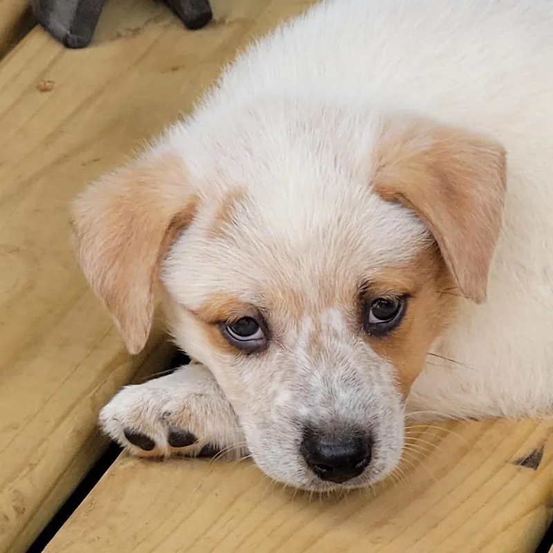 New York thumbnail 3