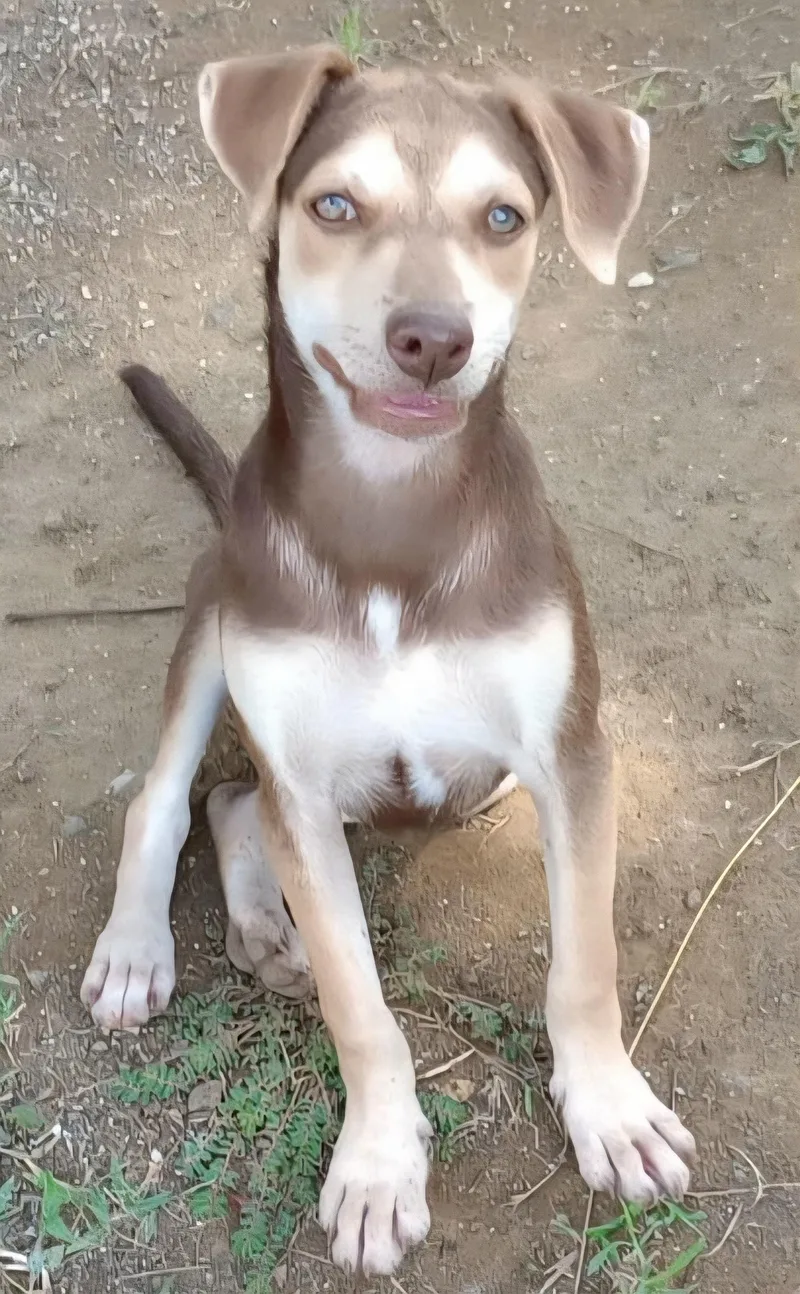 Choky "patiently Waiting For thumbnail 3