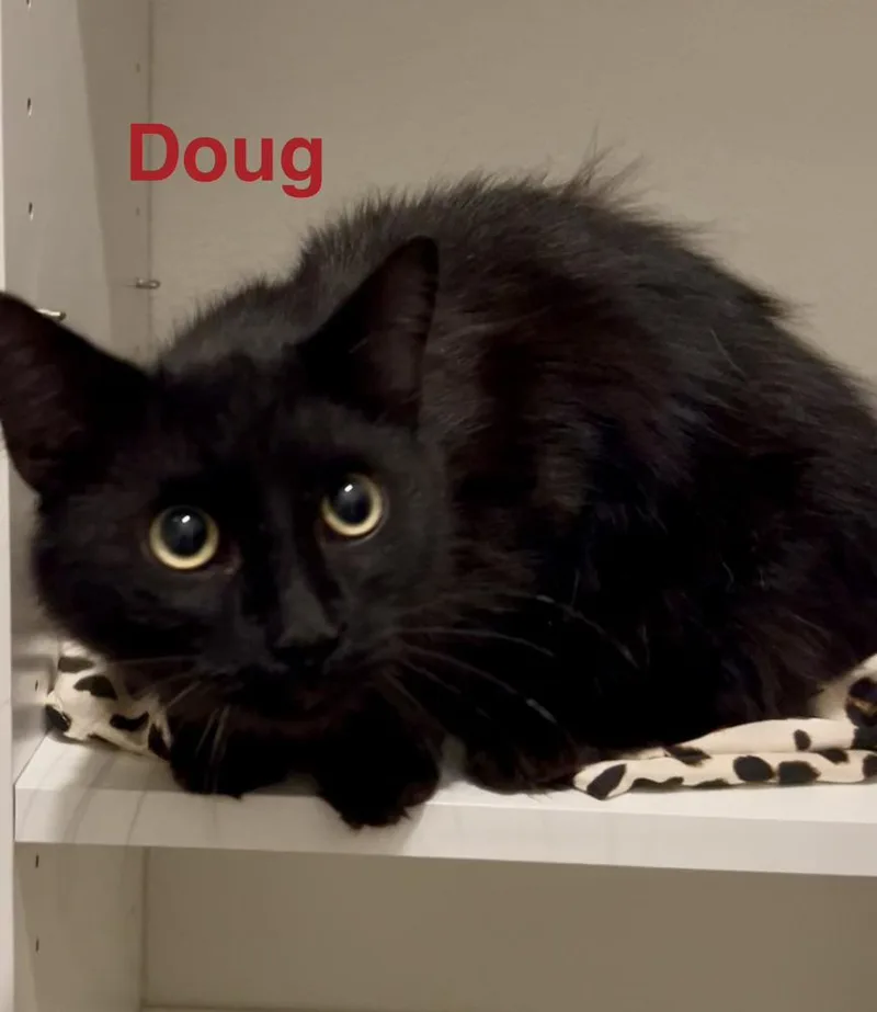 Doug