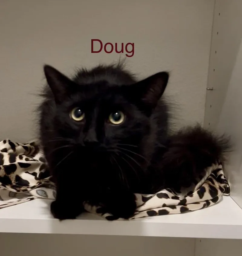 Doug thumbnail 2