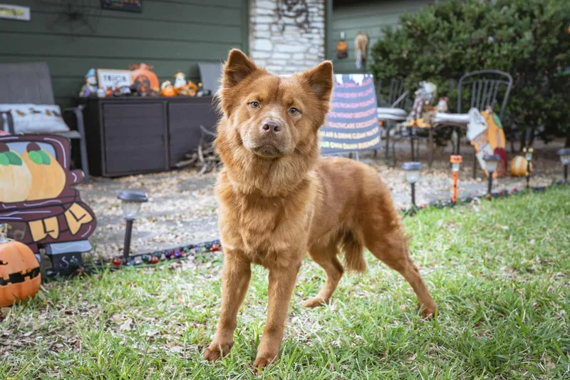 Miley Fka Indi thumbnail 4