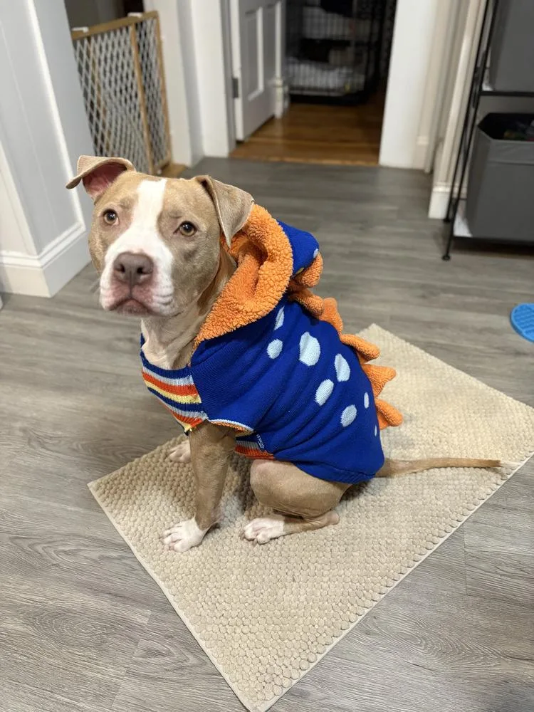 Heather Locklear thumbnail 6