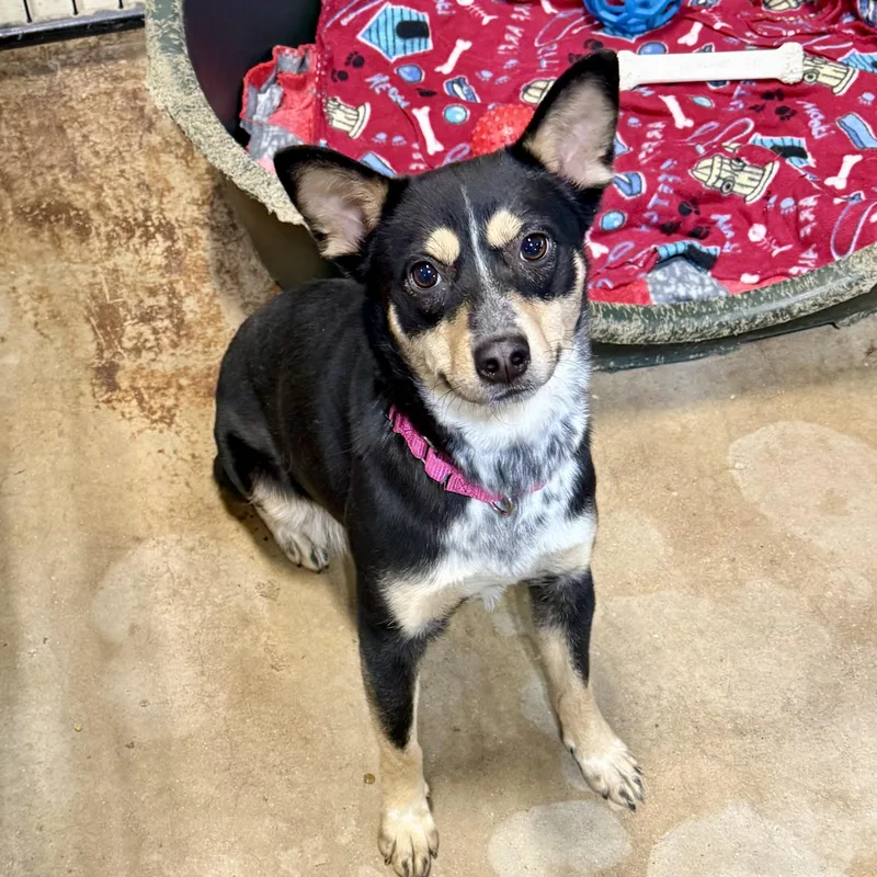 Lilly Beth thumbnail 2