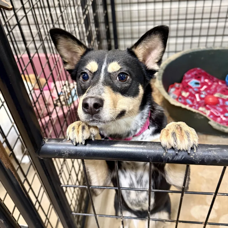 Lilly Beth thumbnail 3