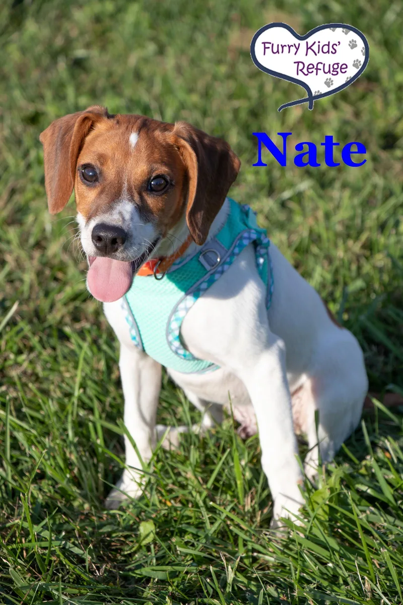 Nate thumbnail 3