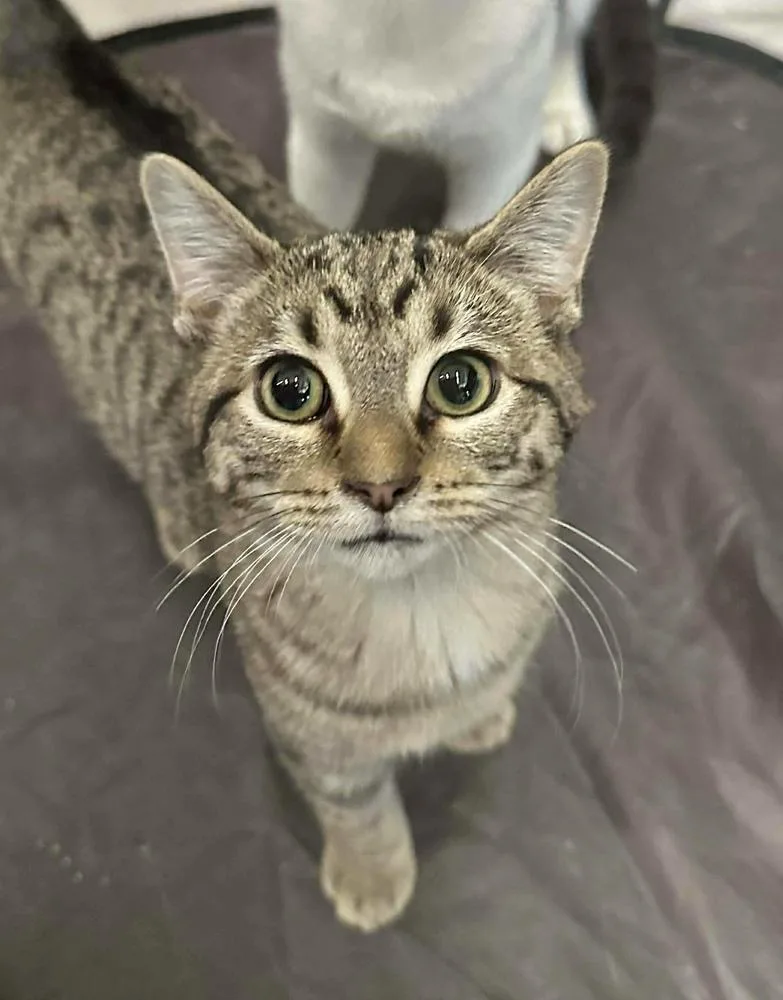 Fairytale thumbnail 4