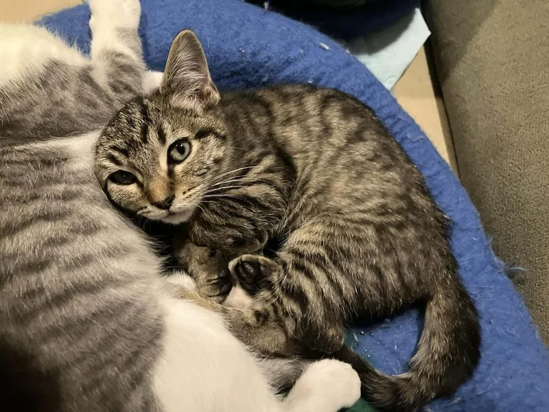 Fairytale thumbnail 5