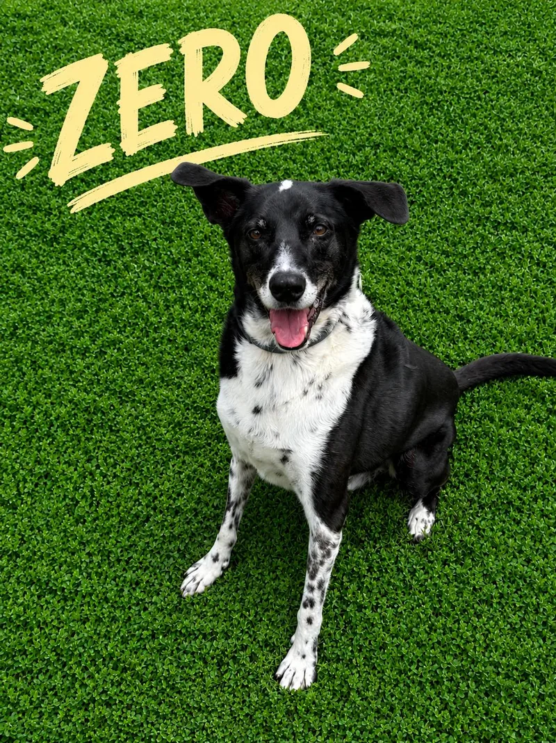 Zero