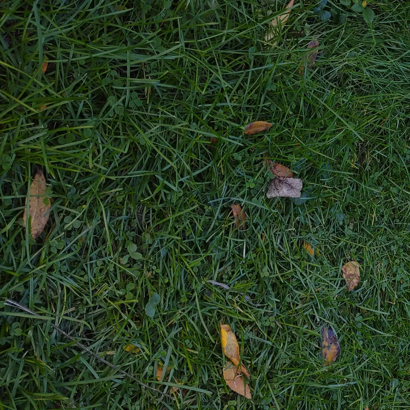 Ethel thumbnail 5